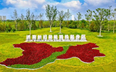 开发区·铁山区坚持绿色转型激活高质量发展新动能  转型春风暖　抬头见新“绿”