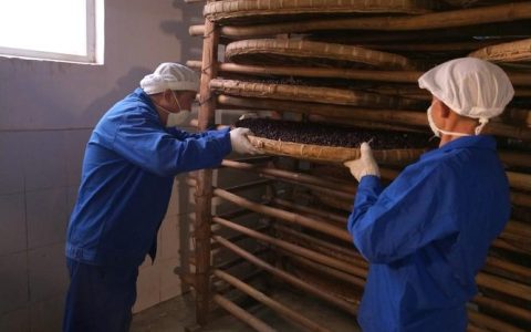 从家庭小作坊到知名农产品品牌  江添寿豆豉：用匠心酿出家乡年味