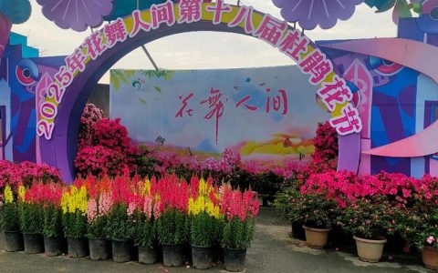 蕲春春节特色文旅活动多点开花