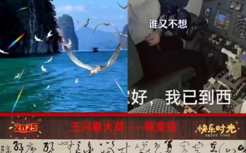 从“IT工程师”变身“乡村运营官” 他把代码写进家乡山水里