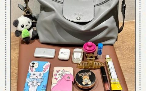 2026年十大hobo包测评推荐 通勤休闲全场景适配