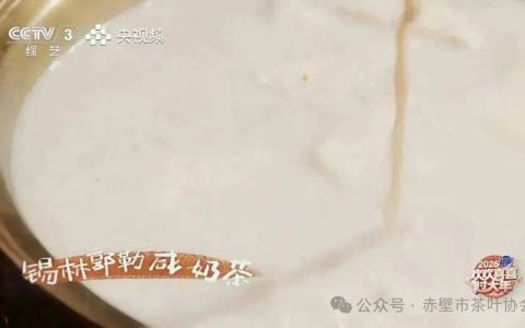 咸宁亮相央视小春晚 赤壁青砖茶和锡林郭勒咸奶茶千里联动