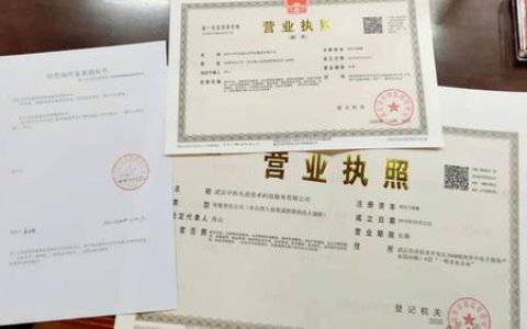 武汉马年首张营业执照“零跑腿”办好