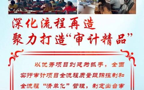 以高质量审计监督护航高质量发展