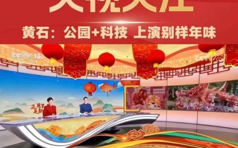 旅游收入激增近三成，年轻游客成主力  来黄石热气腾腾过大年