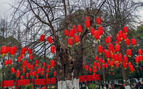 大美黄冈春节最惊艳的红，来源于他们…