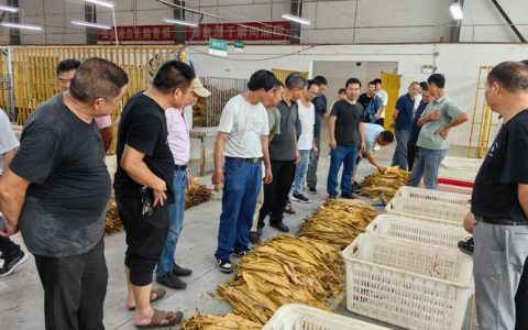 咸安区烟草专卖局开展节前库存采集