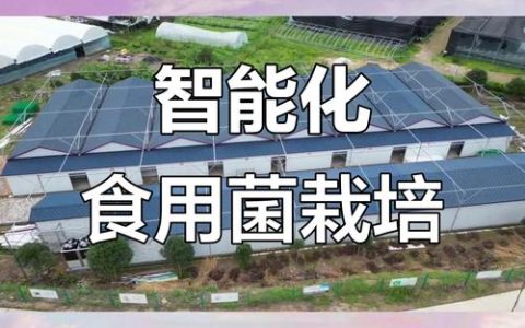 小菌菇撬动大产业  智慧云舱赋能农业现代化