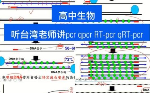华中农业大学科研团队发现SSB招募Argonaute协同调控细菌复制分裂新机制