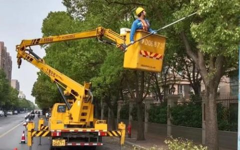 民意直通车 | 广东路行道树急盼修剪