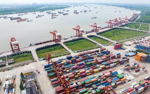 阳逻港“码”力全开