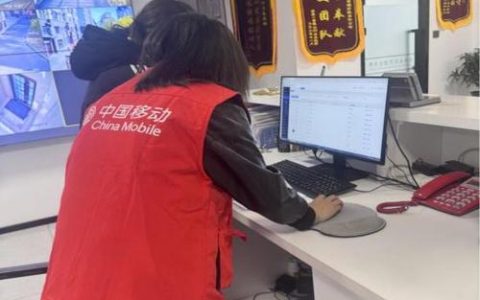 赤壁市政务服务中心  春节“不打烊” 服务暖民心