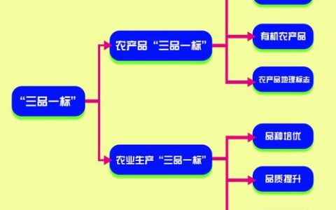 赤壁赵李桥镇签约5000万元塑业项目  助力产业提质增效