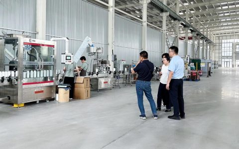 欧洲经销商组团探访武汉工厂