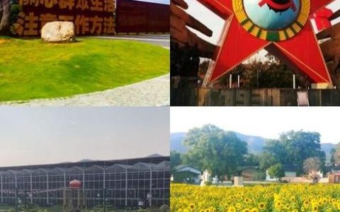 红绿辉映党旗红 院落生金产业兴