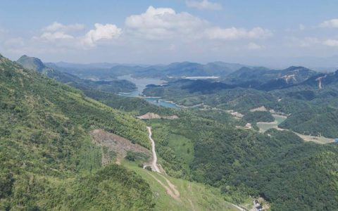 林下生金 生态富民 崇阳：绿水青山变成“幸福靠山”