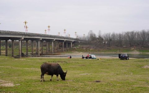 春回隽水 “晒春”正欢  解锁崇阳新春松弛感