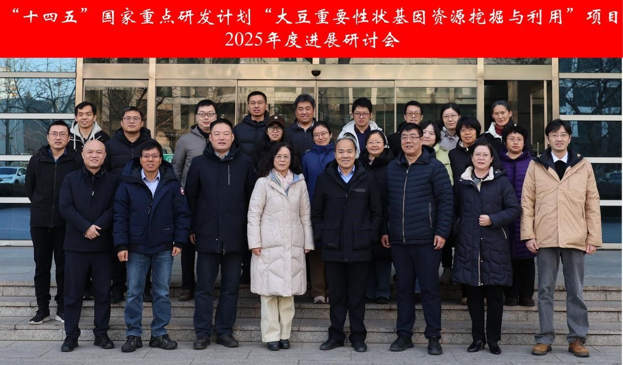 “十四五”国家重点研发计划“大豆重要性状基因资源挖掘与利用”项目2025年度进展研讨会在北京举办