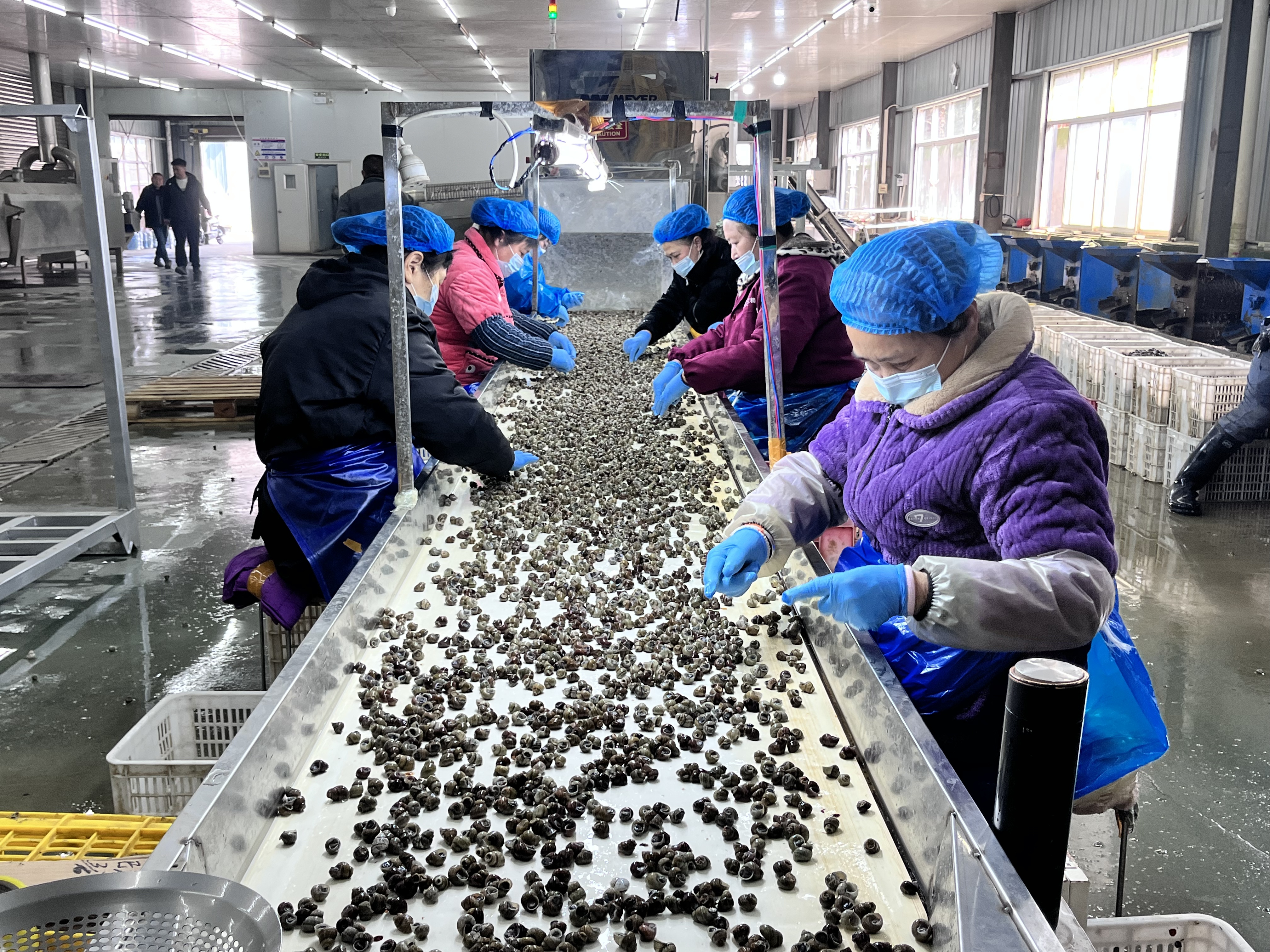 渔洋镇：争春！奋进！