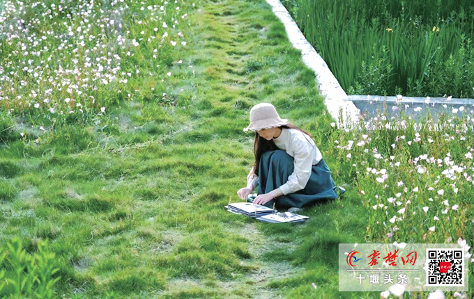 十堰姑娘吴霜辞职创业 把四季藏进押花里