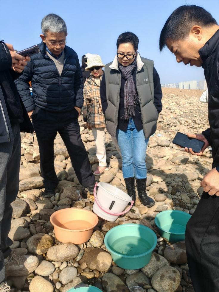 三峡大学参与中华鲟野外自然产卵试验
