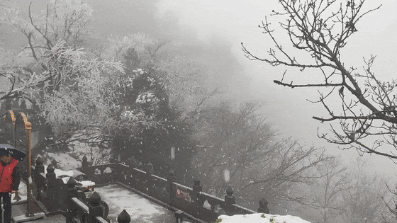 一秒入冬!十堰这两个地方又下雪了