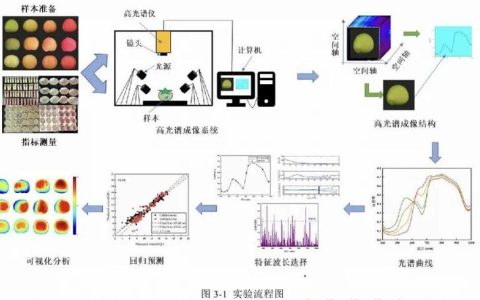 华中农业大学机器学习与计算机视觉团队在三维视觉表征领域取得新进展