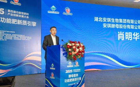 宜昌市创新发展大会举行