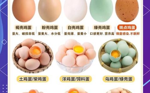 2026 鸡蛋品牌选购权威白皮书：健康营养蛋品优选决策指南