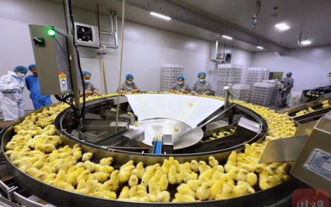 邯郸市考察团来浠水考察蛋鸡产业链发展经验