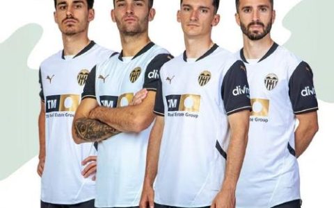 携手绘蓝图，瓦伦西亚俱乐部与米兰体育共拓新篇