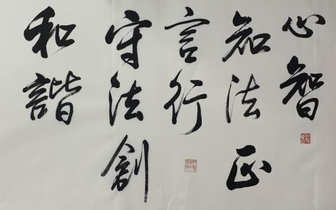 过去一年，全市政法战线敢担当、善担当——  冲锋在前　守护万家安宁