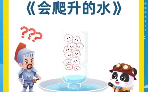 从小作坊到“小巨人”，科普达十年完成“从小池向世界”的关键跃升