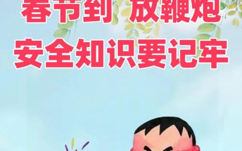 孙兵视频调度烟花爆竹领域安全防范工作