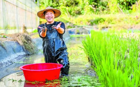 冬虾“游”出增收路 塘口忙出幸福年