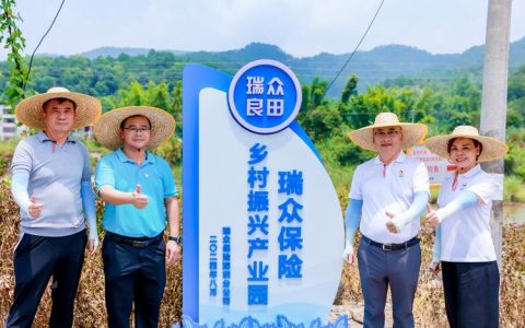 黄石启动“黄小石”公益+优质资源直达基层活动  让专业资源“飞入”寻常百姓家