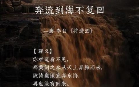 万物向新，长江回响