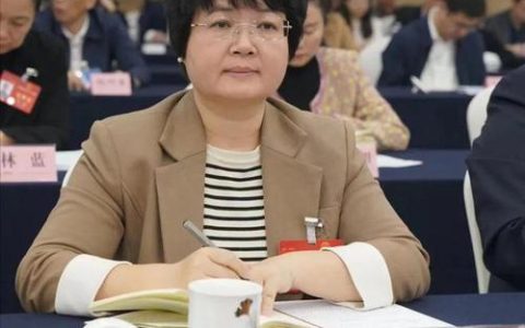 代表委员履职记丨全国人大代表黄艳：以场景为牵引 推动“三算融通”