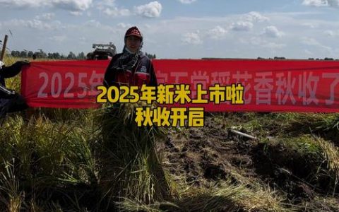 团风香米闯出产业振兴新路径