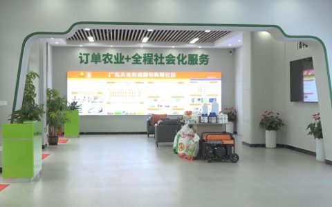 牢固树立和践行正确政绩观　推动“三服务”工作全面提质增效