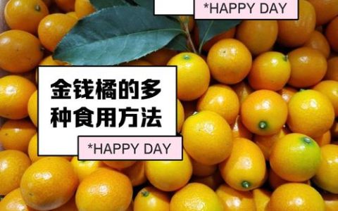 宜昌柑橘成富民强市“黄金名片”