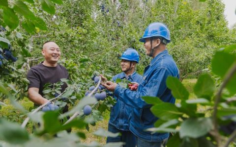 黄梅县供电公司双文明建设硕果盈枝