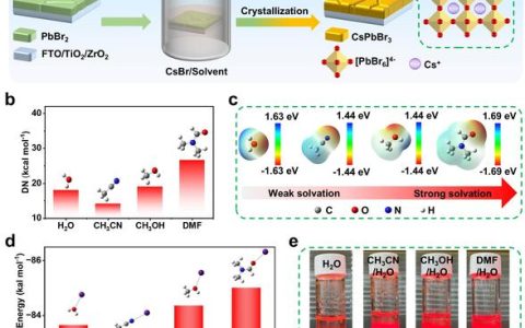李金华教授团队在无机钙钛矿太阳能电池领域取得新进展