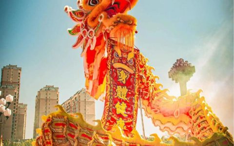 舞龙舞狮庆元宵，传统文化进湖大