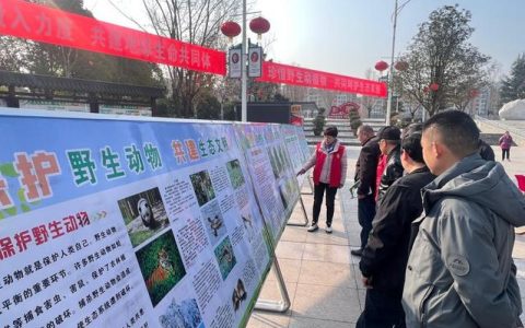 建始县开展保护野生动植物主题宣传活动