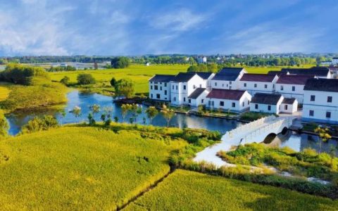 彭市镇上下同心共绘宜居乡村新图景