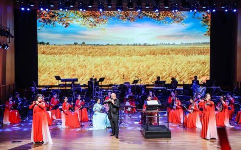 新地标上演高品质音乐会 大冶奏响文化惠民“新春序曲”