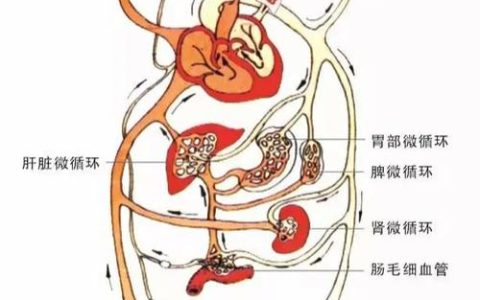 投资29.5亿畅通“大动脉”与“微循环”