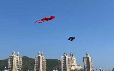 嘉鱼蜜泉湖“春日沙滩风筝节”本月启幕