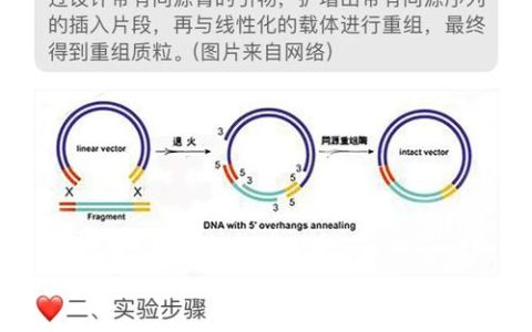 生命学院李一伟刘笔锋团队发现高通量鉴定内源性相分离蛋白新方法